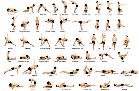 Yoga Poses Sanskrit Work Out Picture Media Work Out