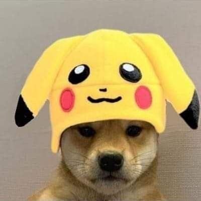 Submitted 20 hours ago by jolly_seesaw_doge. Pin by Clapped on Dog with hat in 2020 | Dog images, Anime memes, Pikachu hat
