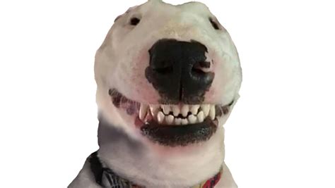 Walter Smiling Png Dogelore