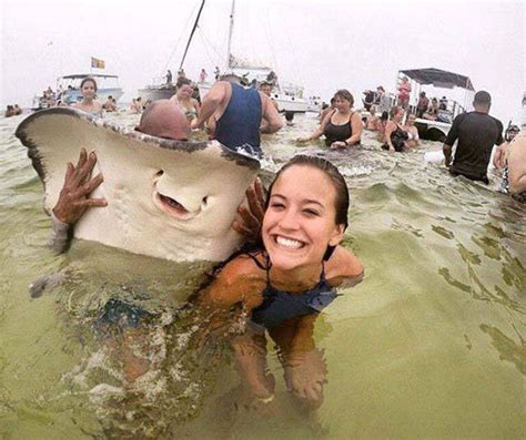 An Epic Compilation Of Weird And Unusual Situations Pics