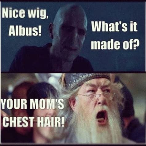 20 years of harry potter get rofl ing with these 20 crazy memes trending gallery news the