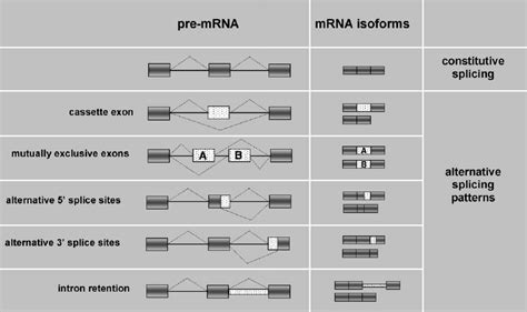 different patterns of alternative splicing exons are represented by download scientific