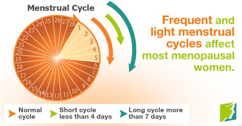 Frequent Menstrual Cycles Menopause Now