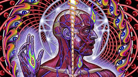 10 Things You Didnt Know About Tools Lateralus Revolver