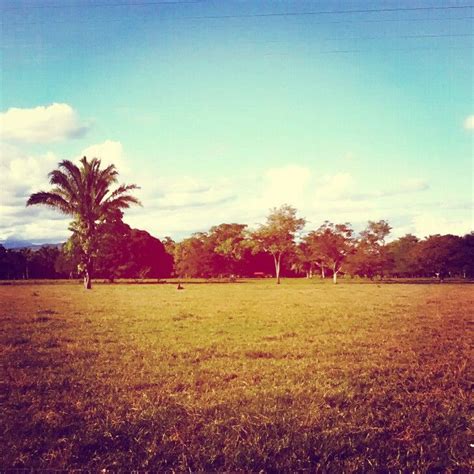 Paisaje Llanero Country Roads Farmland Outdoor