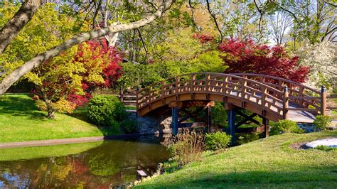 Founded in 1859, the missouri botanical garden is one of the oldest botanical institutions in the united states. Missouri Botanical Gardens and Arboretum in St. Louis ...