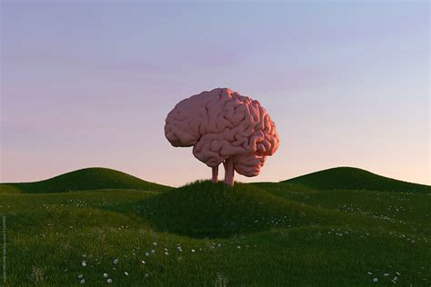 Brain Trees On A Landscape Stock Image Everypixel