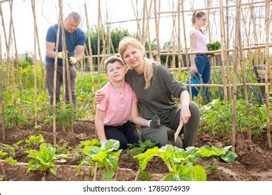 Teen Son Helps Mother Clean Weeds Stock Photo Shutterstock