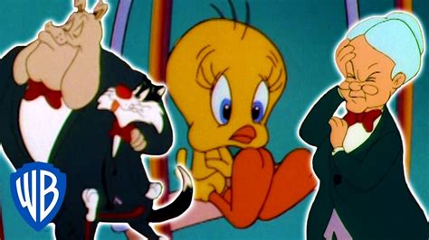Looney Tunes Saving Tweety Bird Classic Cartoon Wb Kids Youtube