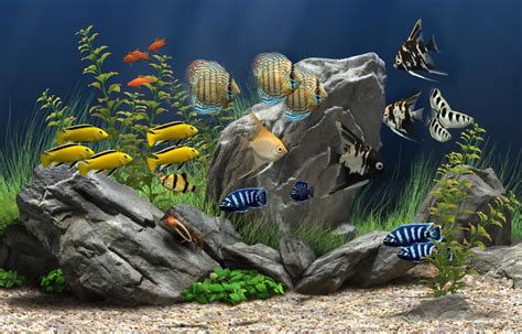 Dream Aquarium Screensaver Modificadores De Aspecto Del Sistema