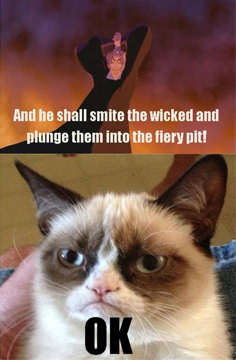 Grumpy Cat Meme Lion King Wallpapers Gallery