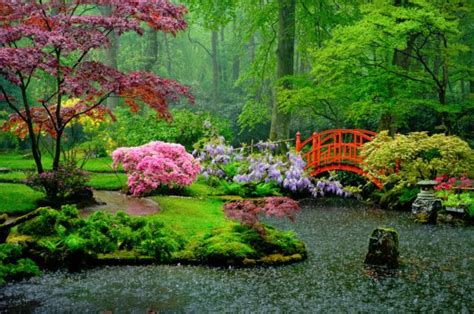 Los 8 Mejores Jardines Japoneses Para Ver En Japón ⛩️