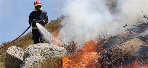 Gigante incendio se originó en canta gallo fotos. Los incendios de la Sierra de Guadarrama podrían quedar ...