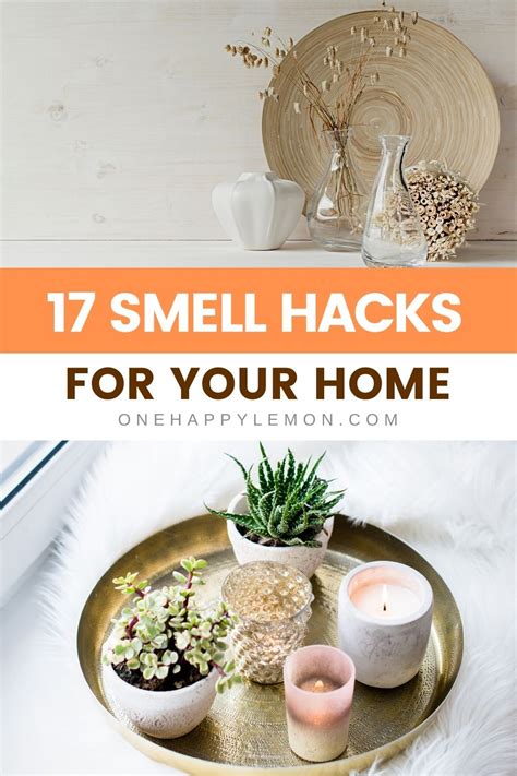 17 Brilliant Diy Hacks To Make Your Home Smell Good House Smell Good