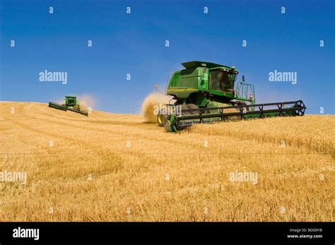 Agriculture Two John Deere Combines Harvest Soft White Wheat On