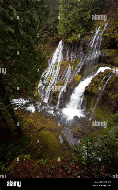 Panther Creek Falls Skamania County Washington Usa Stock Photo Alamy