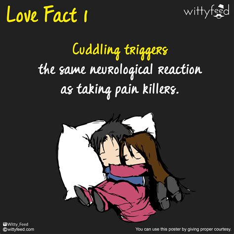 Cuddle Cuddle Cuddle Love Facts Cuddling What Is Love