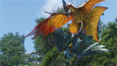 Avatar Leonopteryx