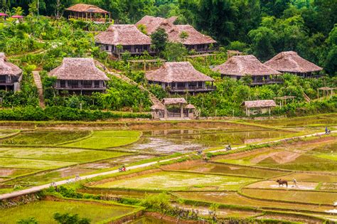 You'll Never Want to Leave This Ecolodge in Vietnam