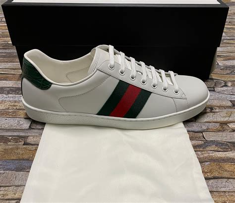 Gucci Ace Sneaker X Clothing