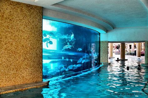 Shark Tank ~ Pool 2 Explored Amazing Aquariums Fish Tank Cool