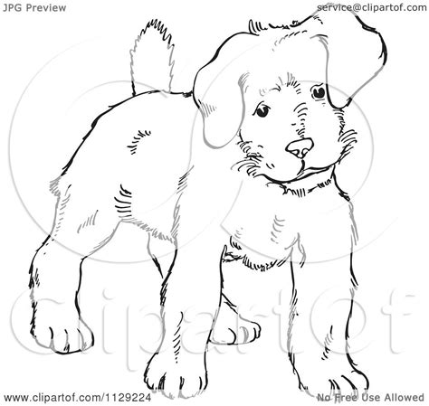 Cartoon Clipart Of An Outlined Alert Puppy Dog Black And White Vector