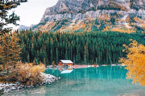 15 Images That Prove Lake Louise Has The Most Insane Fall Colors