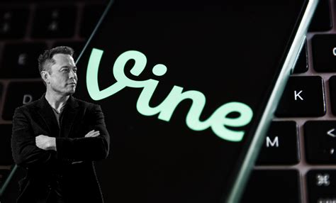 Elon Musk Wants Twitter To Revive Video Looping Service Vine Report Tech