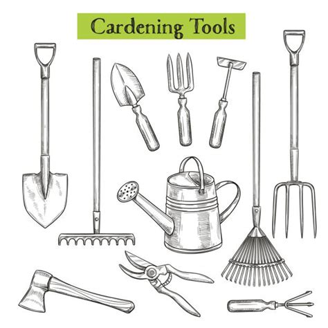 Garden Tools You Need To Start A Garden Eatingwell Gardening Shovel