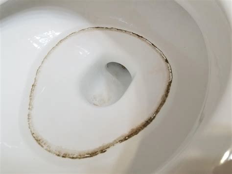 Black Sediment In Toilet Bowl Asking List