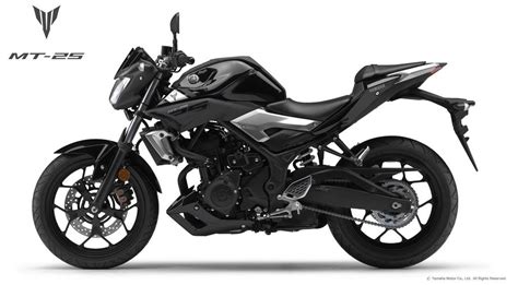 Yamaha Mt 25 Top Speed Expected Specs And Price In India