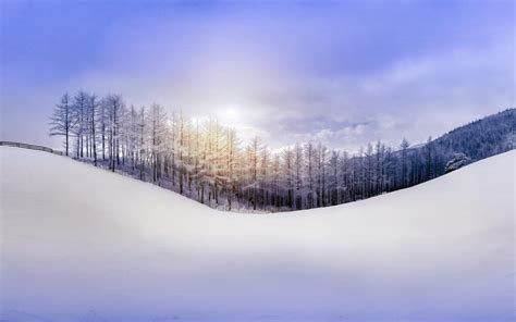 Nature Winter Forest Snow Hill Sky Sun Rays Wallpaper Nature And
