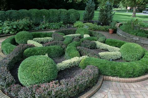 Choosing The Right Boxwood For Your Garden The Tree Center