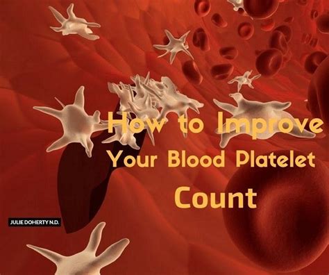 What Thrombocytopenia Low Platelet Count Steps To Regain A Healthy