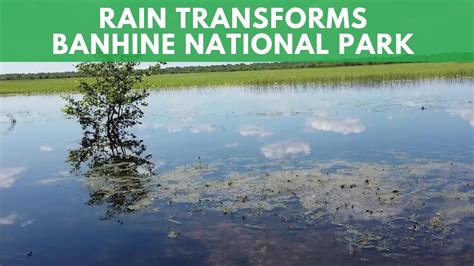 Rain Transforms Banhine National Park Youtube