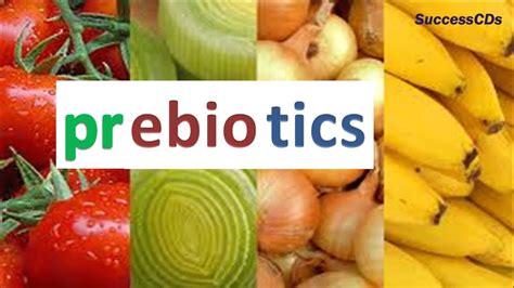 Check spelling or type a new query. Prebiotics Foods | Prebiotics are good for Digestive ...