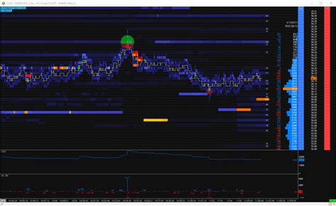 Twofox Trading Chartbook CL Heatmap Ask Bid Volume Dot Chart Trader