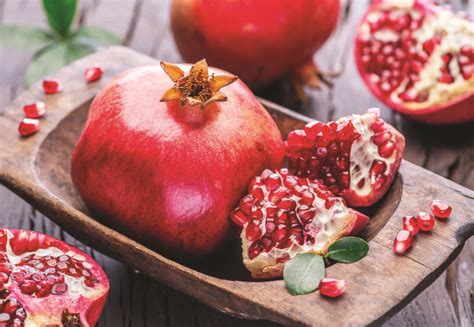 How To Grow Pomegranates From Rooted Cuttings Grit