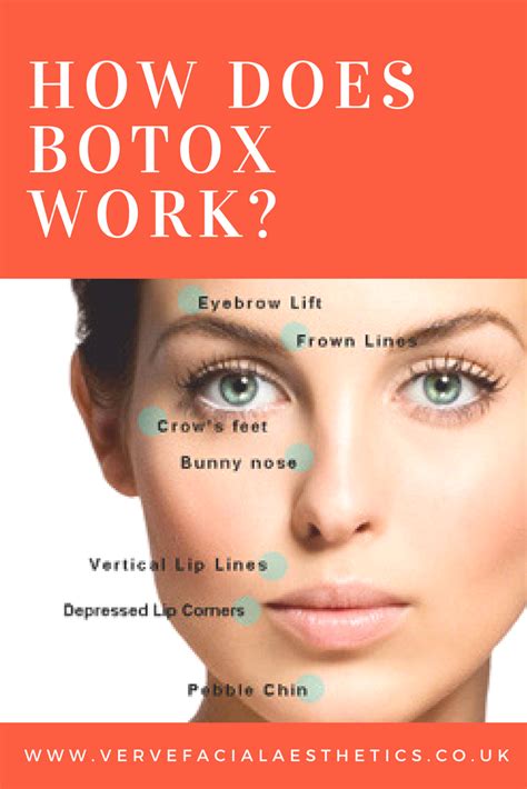 How Does Botox Work How Does Botox Work Botox How To Line Lips