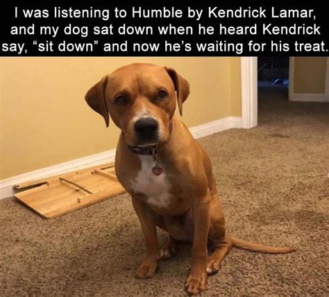 30 Hilarious Funny Pictures That Will Make You Smile