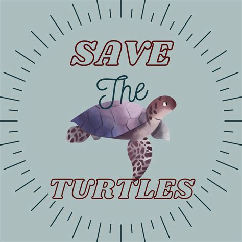 How We Can Save Sea Turtles The Breeze
