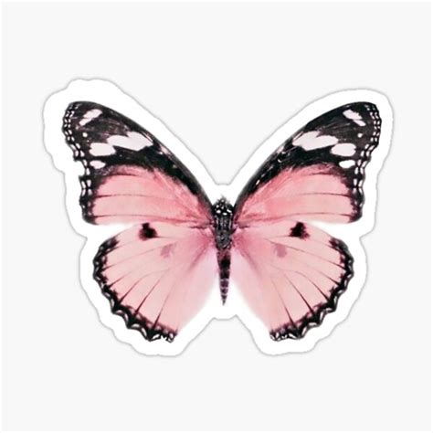 Pink Butterfly Aesthetic Stickers Pegatinas Bonitas Pegatinas