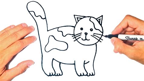 Cómo Dibujar Un Gato Fácil Dibujo De Gato Youtube