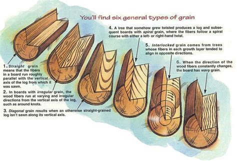 Characteristics Of Timber