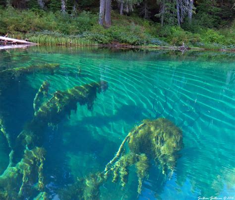 Clear Lake - Sunken Sights: Photos & info on Clear Lake, Linn County, OR
