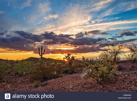 Colorful Sunset Over The Sonoran Desert Landscape In