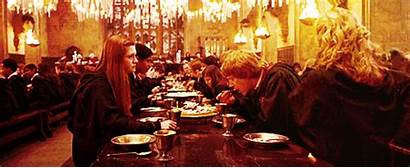 Potter Harry Eating Dining Giphy Event Succes