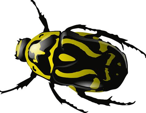 Bugs Png Clipart Png Mart