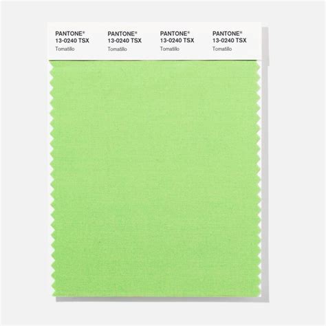 Pantone 19 4036 Tsx Astral Night Polyester Swatch Card Design Info