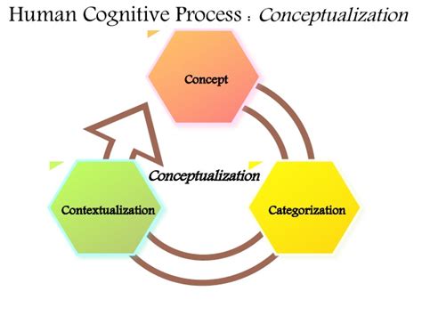 Fundamentals Of Human Cognitive Process 1 638 خانه بیگ دیتا